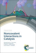 Mahmudov / Kopylovich / Guedes da Silva |  Noncovalent Interactions in Catalysis | Buch |  Sack Fachmedien