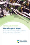 Piatak / Ettler |  Metallurgical Slags | Buch |  Sack Fachmedien