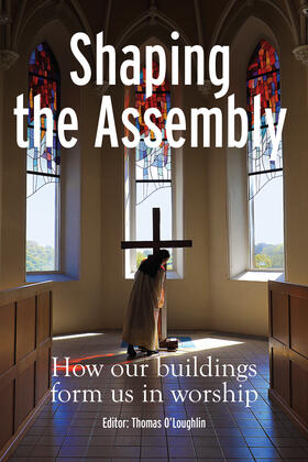 O'Loughlin | Shaping the Assembly | Buch | 978-1-78812-611-3 | sack.de