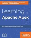 Weise / Ramanath / Yan |  Learning Apache Apex | eBook | Sack Fachmedien