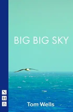 Wells |  Big Big Sky (NHB Modern Plays) | eBook | Sack Fachmedien