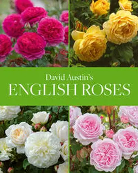 Austin |  David Austin's English Roses | Buch |  Sack Fachmedien