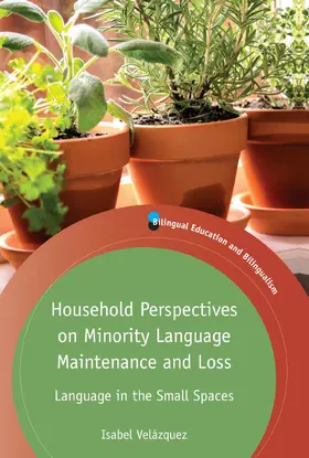 Velázquez |  Household Perspectives on Minority Language Maintenance and Loss | Buch |  Sack Fachmedien