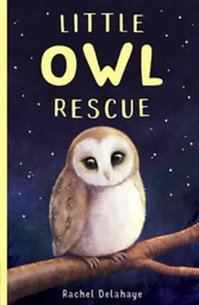 Delahaye |  Little Owl Rescue | eBook | Sack Fachmedien