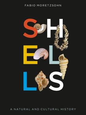 Adamowicz |  Shells | Buch |  Sack Fachmedien
