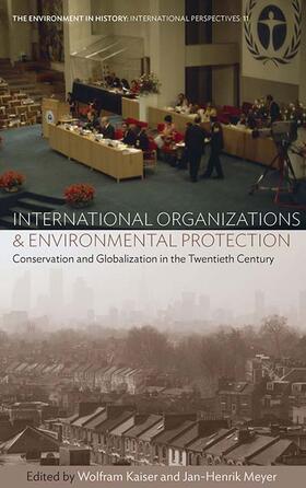 Kaiser / Meyer | International Organizations and Environmental Protection | Buch | 978-1-78920-090-4 | sack.de
