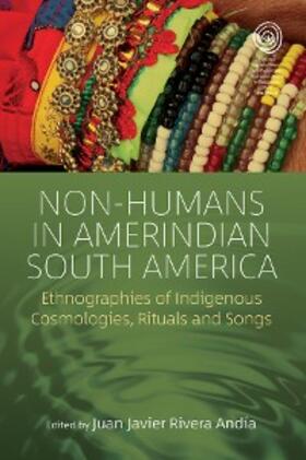 Andía |  Non-Humans in Amerindian South America | eBook | Sack Fachmedien