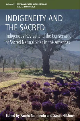 Sarmiento / Hitchner | Indigeneity and the Sacred | Buch | 978-1-78920-495-7 | sack.de