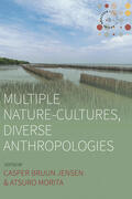 Jensen / Morita |  Multiple Nature-Cultures, Diverse Anthropologies | Buch |  Sack Fachmedien
