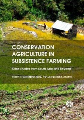 Chan / Fantle-Lepczyk |  Conservation Agriculture in Subsistence Farming | eBook | Sack Fachmedien
