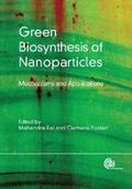 Rai / Posten |  Green Biosynthesis of Nanoparticles | eBook | Sack Fachmedien