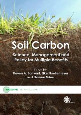 Banwart / Noellemeyer / Milne | Soil Carbon | E-Book | sack.de