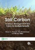 Banwart / Noellemeyer / Milne |  Soil Carbon | eBook | Sack Fachmedien