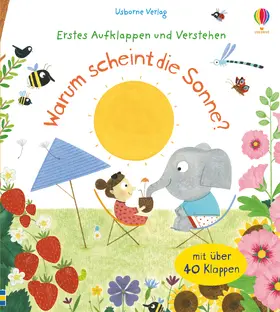 Daynes |  Erstes Aufklappen und Verstehen: Warum scheint die Sonne? | Buch |  Sack Fachmedien