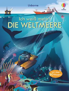 Bone |  Ich weiß mehr! Die Weltmeere | Buch |  Sack Fachmedien