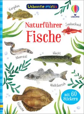 Nolan |  Usborne Minis Naturführer: Fische | Buch |  Sack Fachmedien