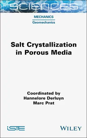 Derluyn / Prat | Salt Crystallization in Porous Media | Buch | 978-1-78945-114-6 | sack.de