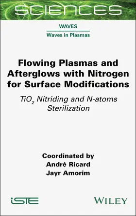 Ricard / Amorim |  Flowing Plasmas and Afterglows with Nitrogen for Surface Modifications | Buch |  Sack Fachmedien
