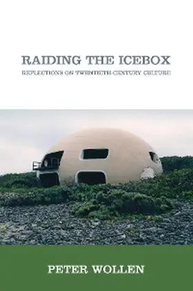 Wollen |  Raiding the Icebox | eBook | Sack Fachmedien