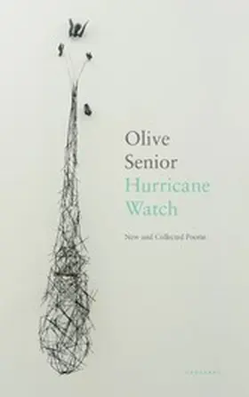 Senior |  Hurricane Watch | eBook | Sack Fachmedien