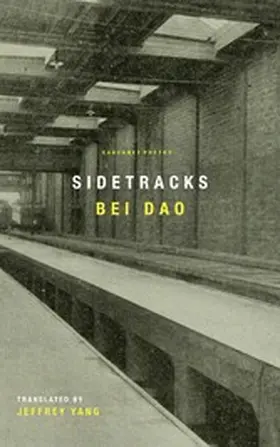 Dao |  Sidetracks | eBook | Sack Fachmedien