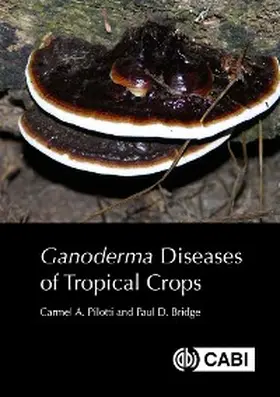 Pilotti / Bridge |  Ganoderma Diseases of Tropical Crops | eBook | Sack Fachmedien