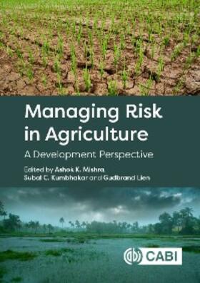 Mishra / Kumbhakar / Lien | Managing Risk in Agriculture | E-Book | sack.de