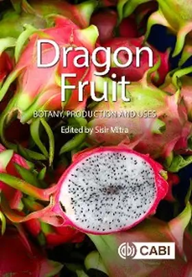 Mitra |  Dragon Fruit | eBook | Sack Fachmedien