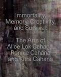 Soltes |  Immortality, Memory, Creativity, and Survival | Buch |  Sack Fachmedien