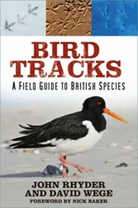 Rhyder / Wege |  Bird Tracks | eBook | Sack Fachmedien