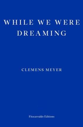 Meyer |  While We Were Dreaming | Buch |  Sack Fachmedien