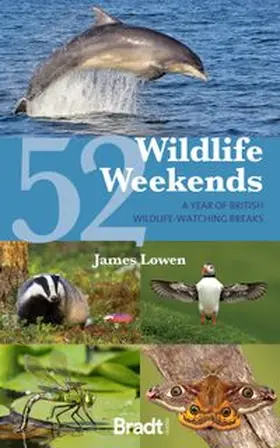Lowen |  52 Wildlife Weekends | Buch |  Sack Fachmedien