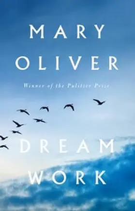 Oliver |  Dream Work | eBook | Sack Fachmedien