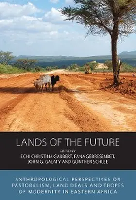 Gabbert / Gebresenbet / Galaty |  Lands of the Future | eBook | Sack Fachmedien