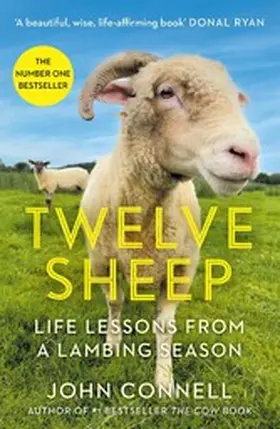 Connell |  Twelve Sheep | eBook | Sack Fachmedien
