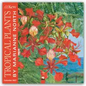 Flame Tree Publishing |  Marianne North, Tropical Plants – Tropische Pflanzen 2027 – Original Flame Tree Publishing-Kalender [Kalender] | Sonstiges |  Sack Fachmedien