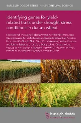 Marcotuli / Matus / Gadaleta |  Identifying genes for yield-related traits under drought stress conditions in durum wheat | eBook | Sack Fachmedien