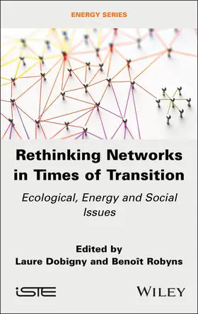 Dobigny / Robyns | Rethinking Networks in Times of Transition | Buch | 978-1-83669-018-4 | www.sack.de