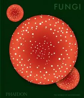 Gavin |  Fungi | Buch |  Sack Fachmedien