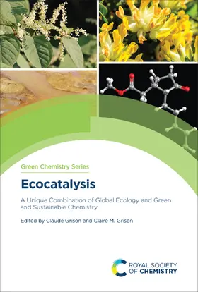 Grison |  Ecocatalysis | eBook | Sack Fachmedien