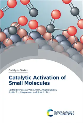 Aslan / Daisley / Hargreaves |  Catalytic Activation of Small Molecules | Buch |  Sack Fachmedien