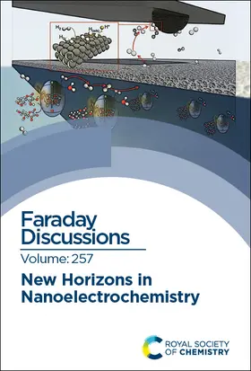  New Horizons in Nanoelectrochemistry | Buch |  Sack Fachmedien