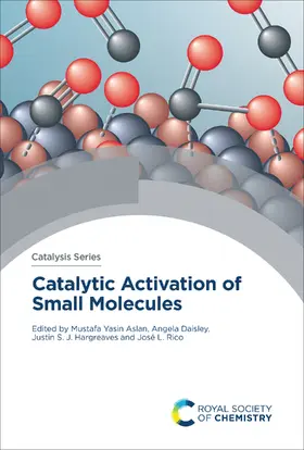 Aslan / Daisley / Hargreaves | Catalytic Activation of Small Molecules | E-Book | www.sack.de