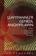 Rowlands |  Llwyfannu’r Genedl Anghyflawn | eBook | Sack Fachmedien