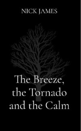 James |  The Breeze, the Tornado and the Calm | eBook | Sack Fachmedien