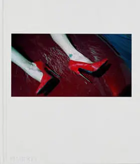 Klein / Holborn |  Steven Klein | Buch |  Sack Fachmedien