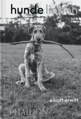  Hunde lieben | Buch |  Sack Fachmedien