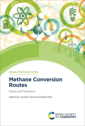 Galvita / Bos |  Methane Conversion Routes | eBook | Sack Fachmedien