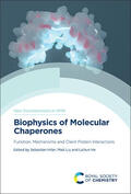 He / Hiller / Liu |  Biophysics of Molecular Chaperones | Buch |  Sack Fachmedien