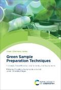 Hussain / Hernandez-Borges |  Green Sample Preparation Techniques | eBook | Sack Fachmedien